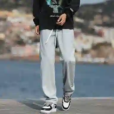 METE WHALE MT