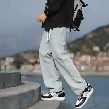 METE WHALE MT