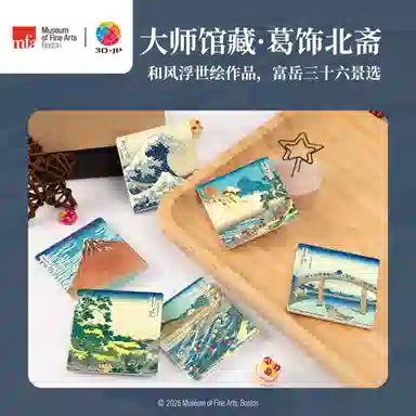 3D-JP 16pcs D1572