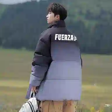 FUERZA