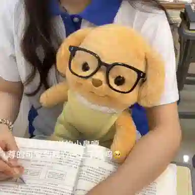 MENGMENGBUNNY 20cm30cm