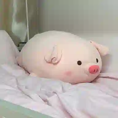 MENGMENGBUNNY 40cm50cm60cm80cm100cm