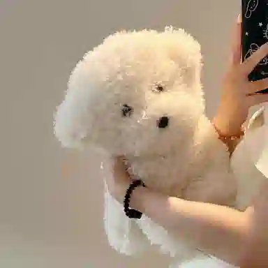 MENGMENGBUNNY 35cm25cm