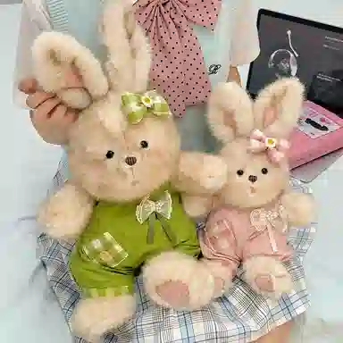 MENGMENGBUNNY 35cm50cm