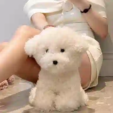 MENGMENGBUNNY 35cm25cm