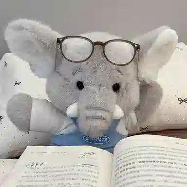 MENGMENGBUNNY 23cm32cm