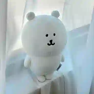 MENGMENGBUNNY chiikawa 20cm