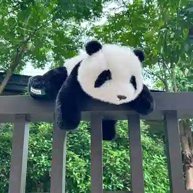 MENGMENGBUNNY 32cm40cm60cm