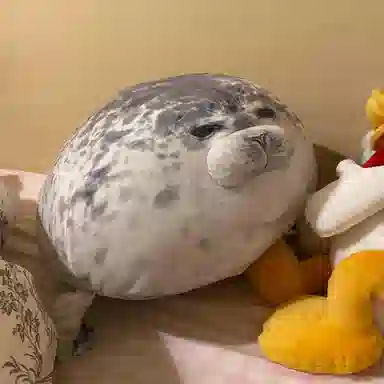 MENGMENGBUNNY 20cm30cm40cm60cm