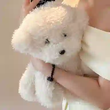 MENGMENGBUNNY 35cm25cm