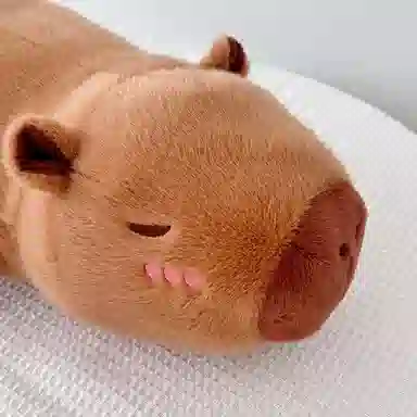 MENGMENGBUNNY 60cm80cm100cm