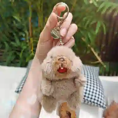 Jinnew 13cm
