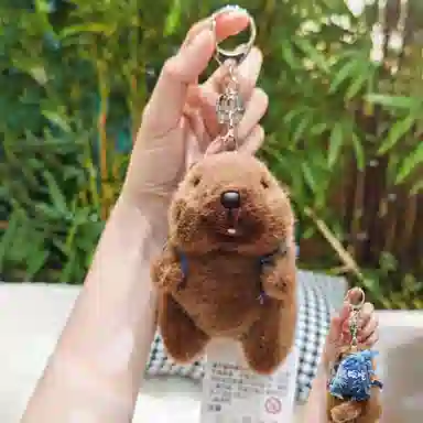 Jinnew 13cm