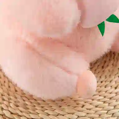 Chongrong Monkey Plush