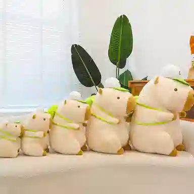 25cm35cm45cm55cm65cm