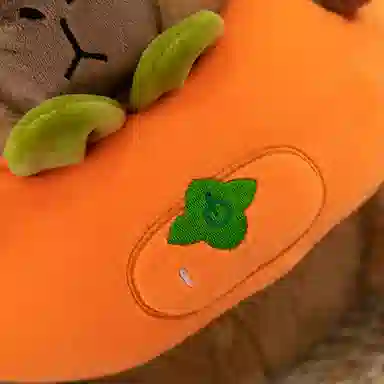 25cm35cm