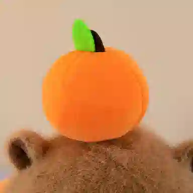 25cm35cm