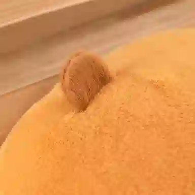 55cm70cm100cm50cm95cm