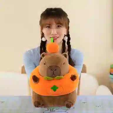 25cm35cm