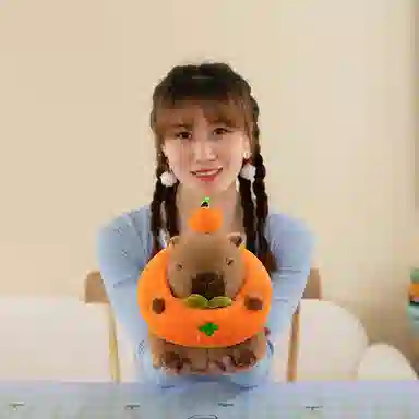 25cm35cm
