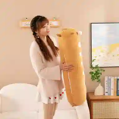 55cm70cm100cm50cm95cm