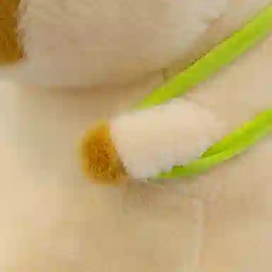 25cm35cm45cm55cm65cm