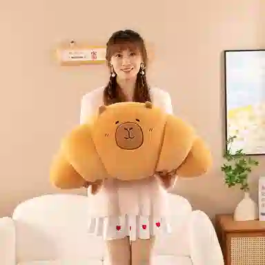 55cm70cm100cm50cm95cm