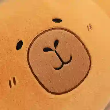 55cm70cm100cm50cm95cm