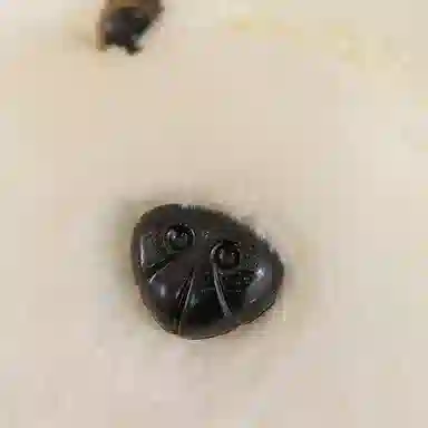 25cm35cm40cm50cm55cm60cm