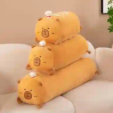 55cm70cm100cm50cm95cm