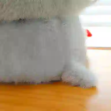 30cm42cm50cm60cm80cm