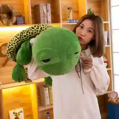 20cm28cm35cm45cm55cm65cm75cm