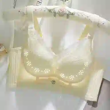 兰缪 纤柔舒适透气花瓣洞洞杯轻呼吸上托防下垂大胸显小文胸 女款