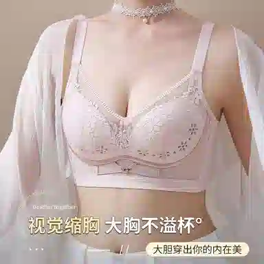 兰缪 纤柔舒适透气花瓣洞洞杯轻呼吸上托防下垂大胸显小文胸 女款