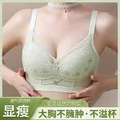 兰缪 纤柔舒适透气花瓣洞洞杯轻呼吸上托防下垂大胸显小文胸 女款