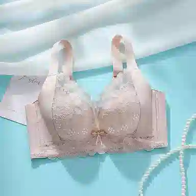 兰缪 小胸聚拢收副乳防下垂舒适透气文胸 女款
