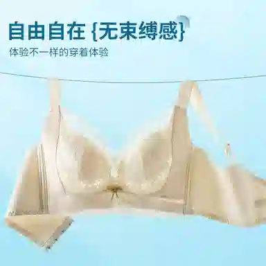 兰缪 小胸聚拢收副乳防下垂舒适透气文胸 女款