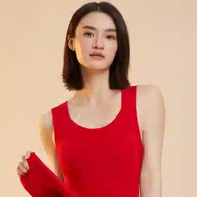 兰缪 女士春秋冬无痕提拉紧致舒适保暖抗静电亲肤内衣打底衣 女款