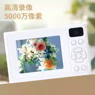 HEY CAT'S DAILY Z02 CCD4K vlog AF