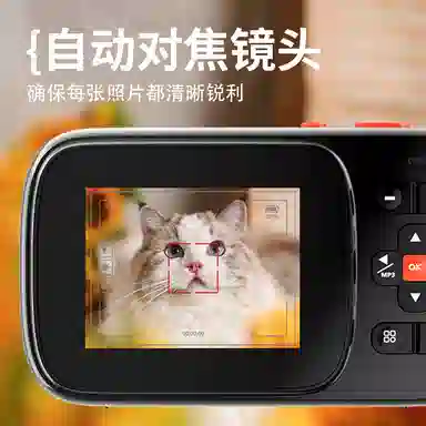 HEY CAT'S DAILY 167200W MP3