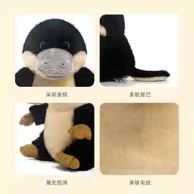 ZHUOQU 19.5cm