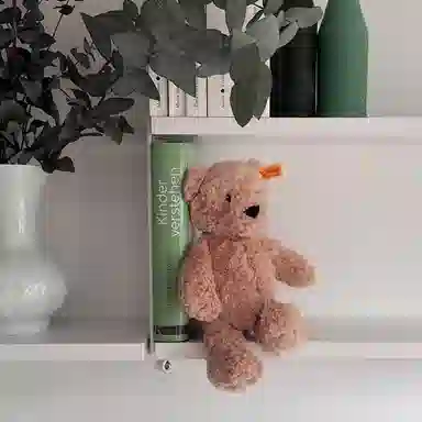 Steiff Jimmy 20cm30cm40cm55cm