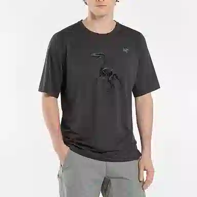 Arcteryx LogoT Charcoal grey