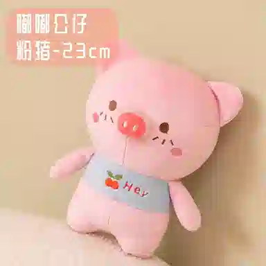 23cm