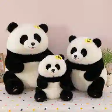 30cm40cm50cm