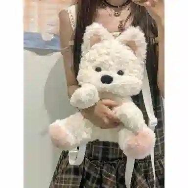 25cm
