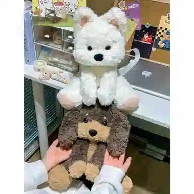 25cm