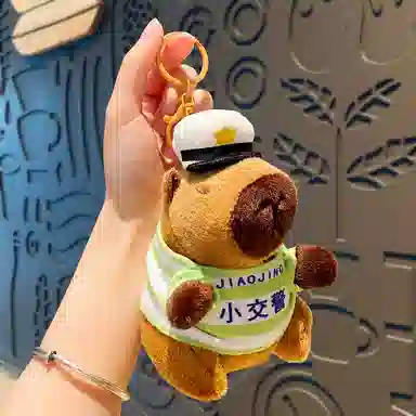 14.5cm