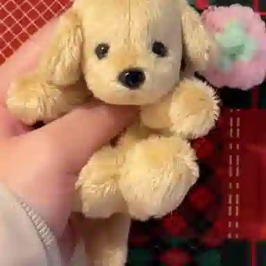 10cm