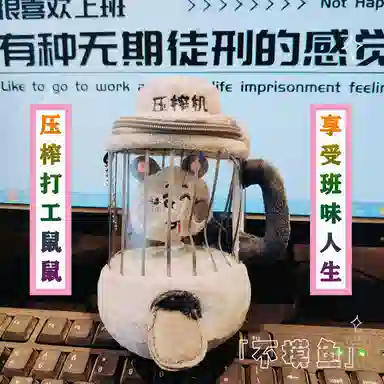 15cm